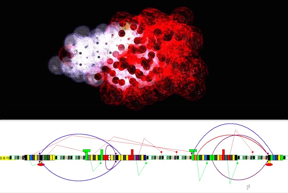 Cancer growing with cancer network